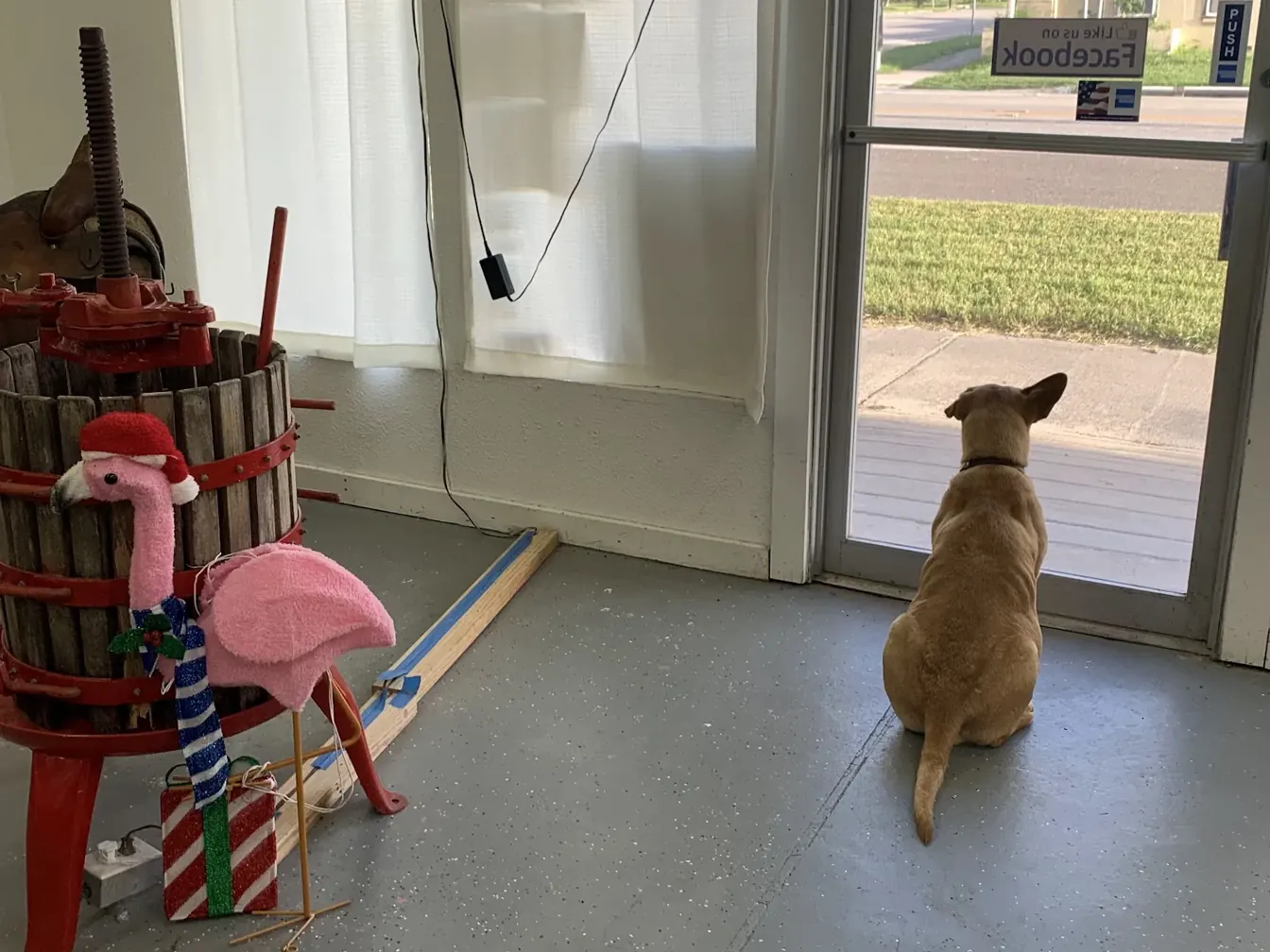 Photo from the business's Google listing